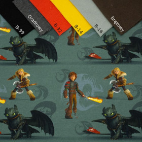 HOW TO TRAIN YOUR DRAGON - single jersey TE210