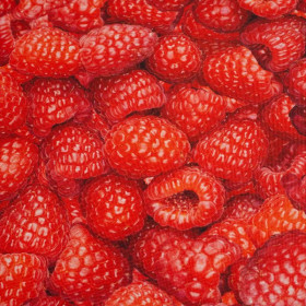 RASPBERRIES - Waterproof woven fabric