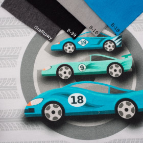 FAST WHEELS / blue - panel looped knit 