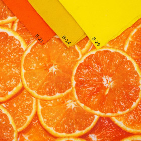 ORANGES - Waterproof woven fabric