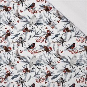 WINTER BIRDS pat. 1 (WINTER IN PARK) - single jersey 