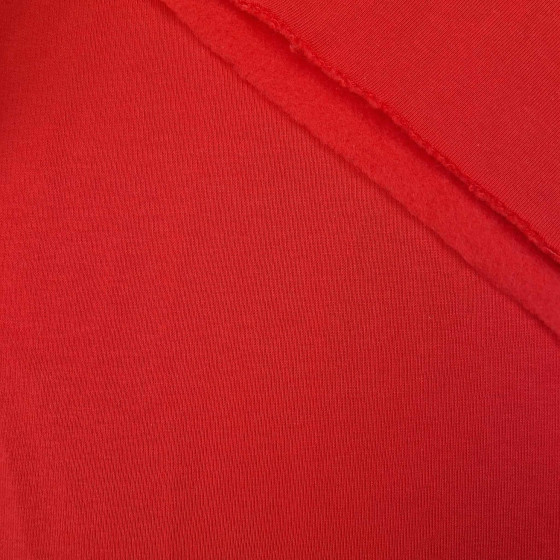 Thick brushed sweatshirt D300 - RED (D-18)