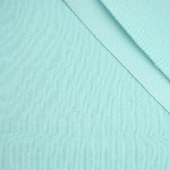 D-180 AQUA - thick brushed sweatshirt D300