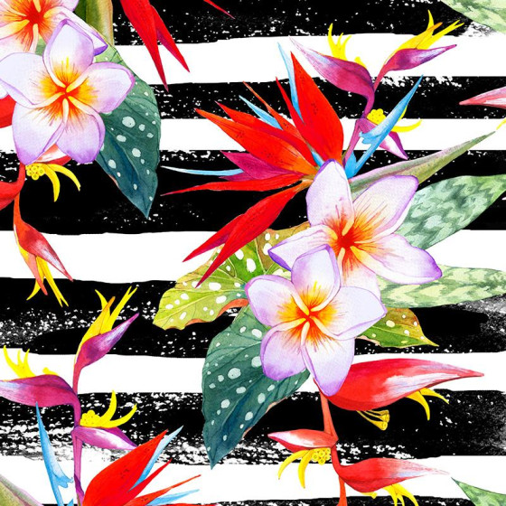 FLOWERS ON THE ZEBRA