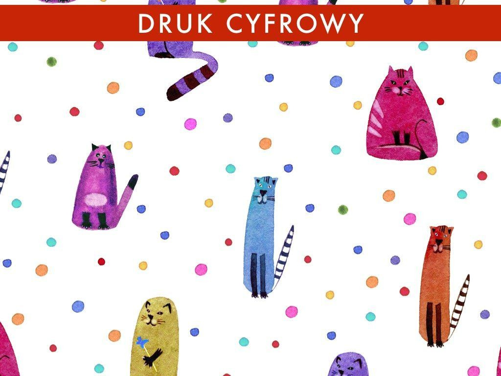 KOCI SZAŁ - dresówka pętelkowa SP250