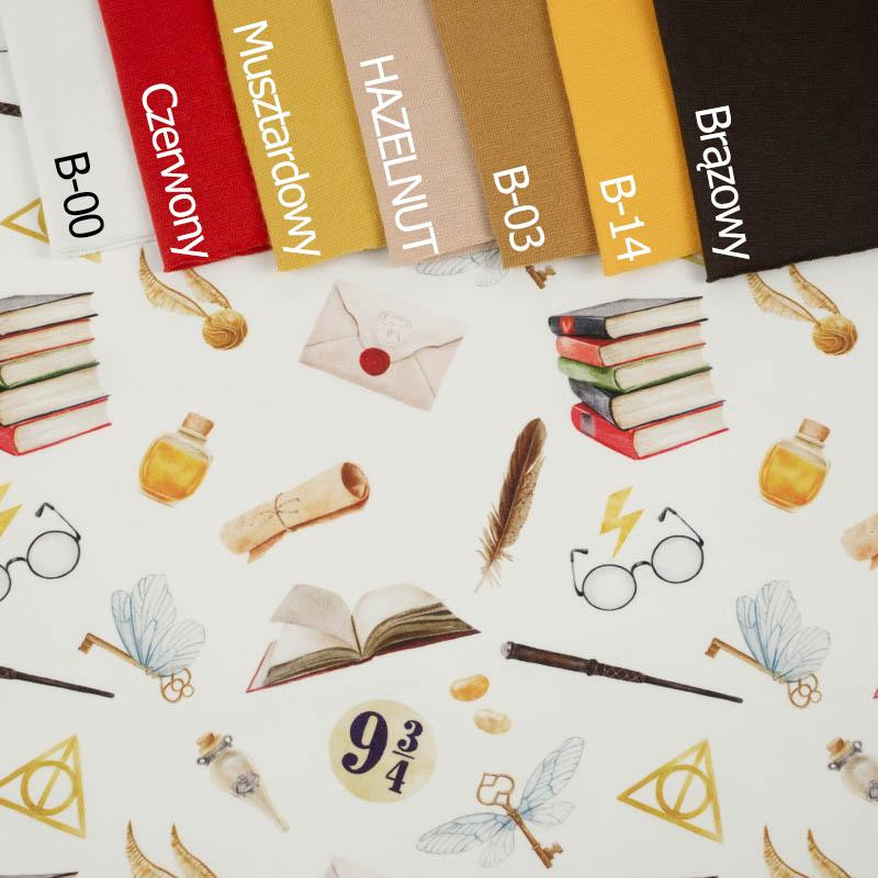 MAGICZNY ŚWIAT wz. 1 (MAGICZNA SZKOŁA) - single jersey z elastanem 