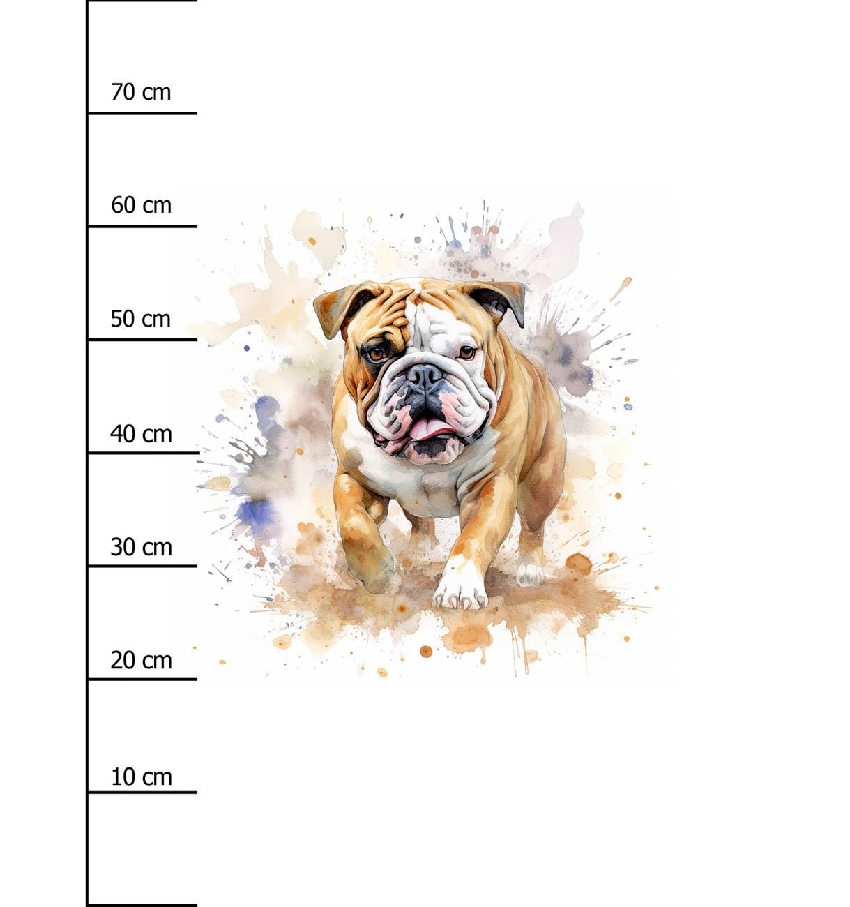 WATERCOLOR BULLDOG - panel (75cm x 80cm) dzianina pętelkowa