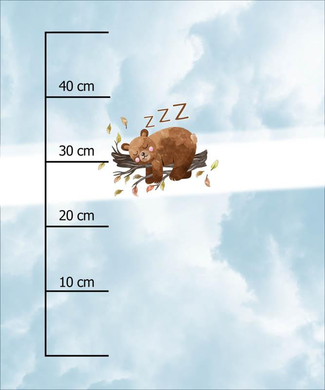 ŚPIĄCY MIŚ W OBŁOKACH (MISIE I MOTYLKI) - panel 50cm x 60cm - single jersey 