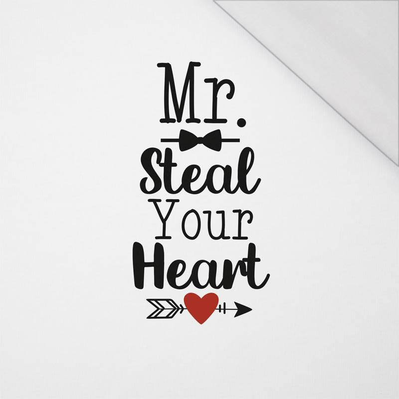 MR. STEAL YOUR HEART (BE MY VALENTINE) - PANEL SINGLE JERSEY 50cm x 60cm