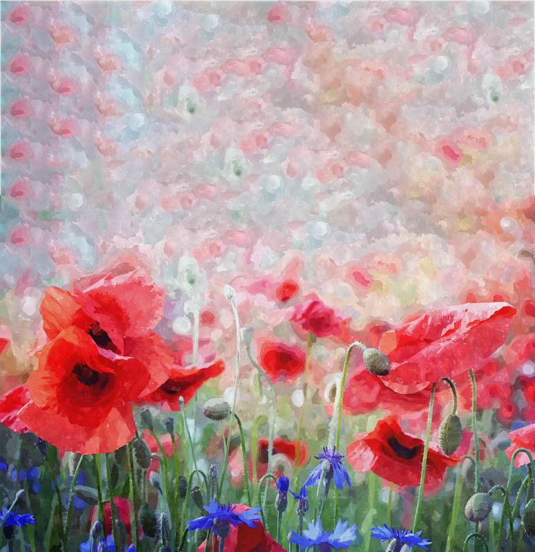 MAKI wz. 1 - panel dzianina pętelkowa ( 75cm x 75cm )