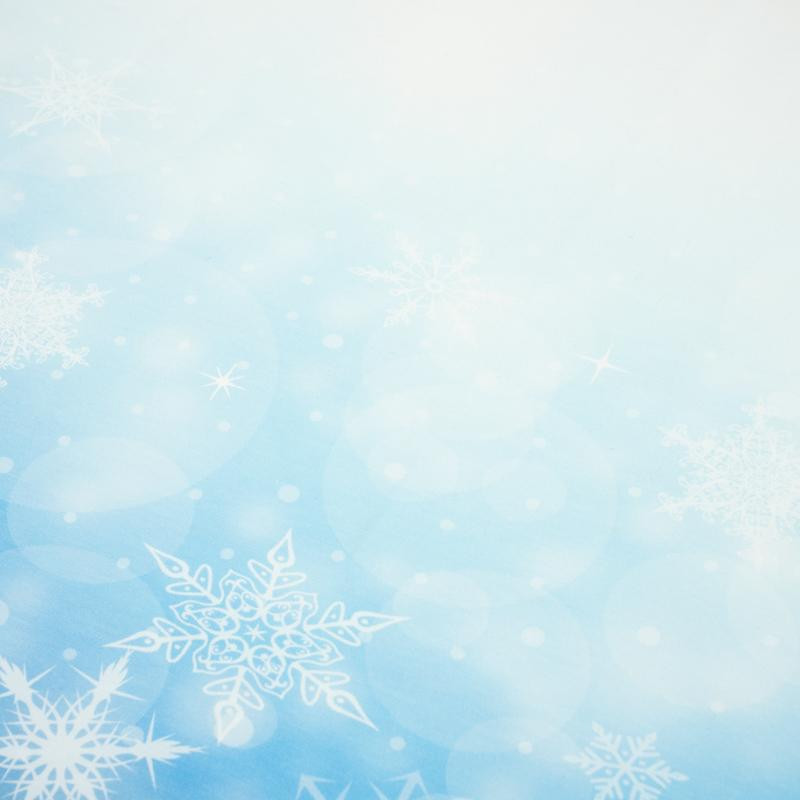 PANEL ZIMOWY / MRÓZ - panel, dzianina pętelkowa 