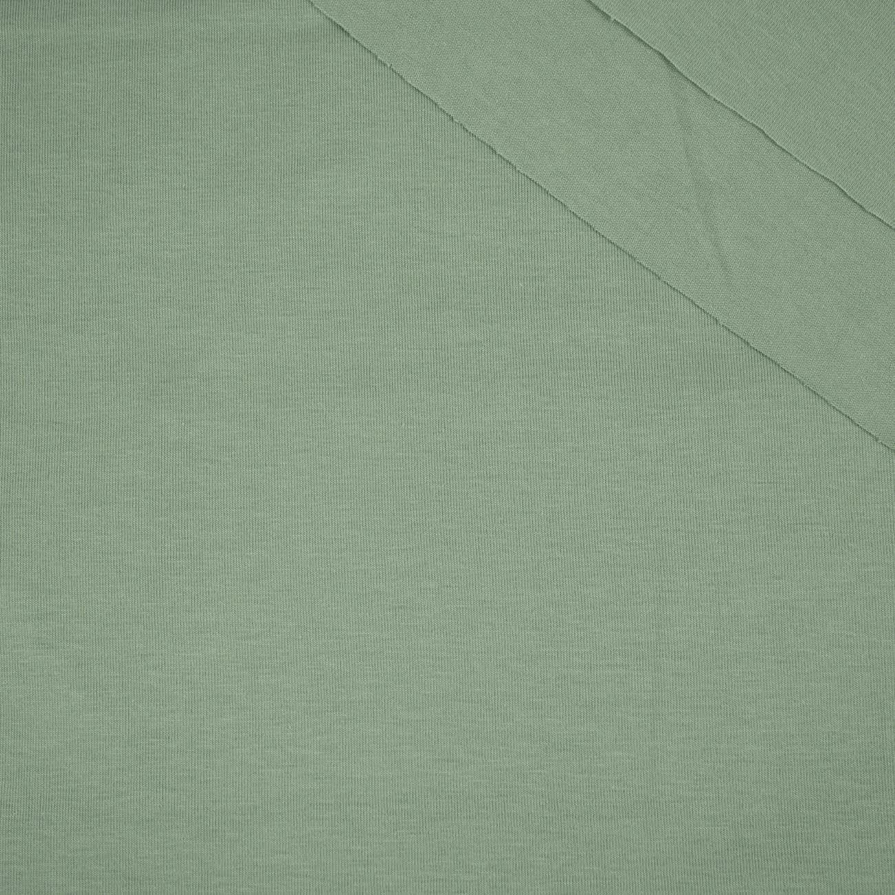 D-45 BRUDNA MIĘTA - dzianina t-shirt z elastanem TE210