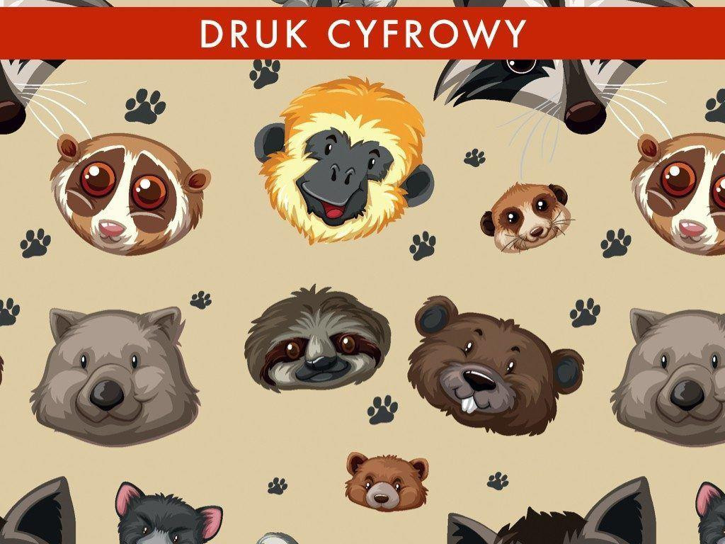 ZOO / piaskowa - dresówka pętelkowa SP250