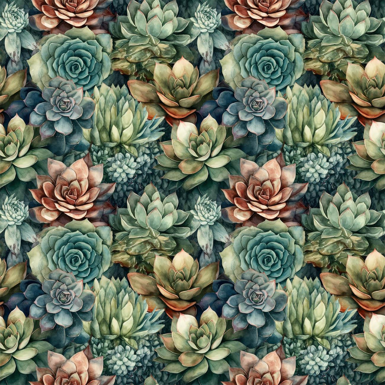 SUCCULENT PLANTS WZ. 8