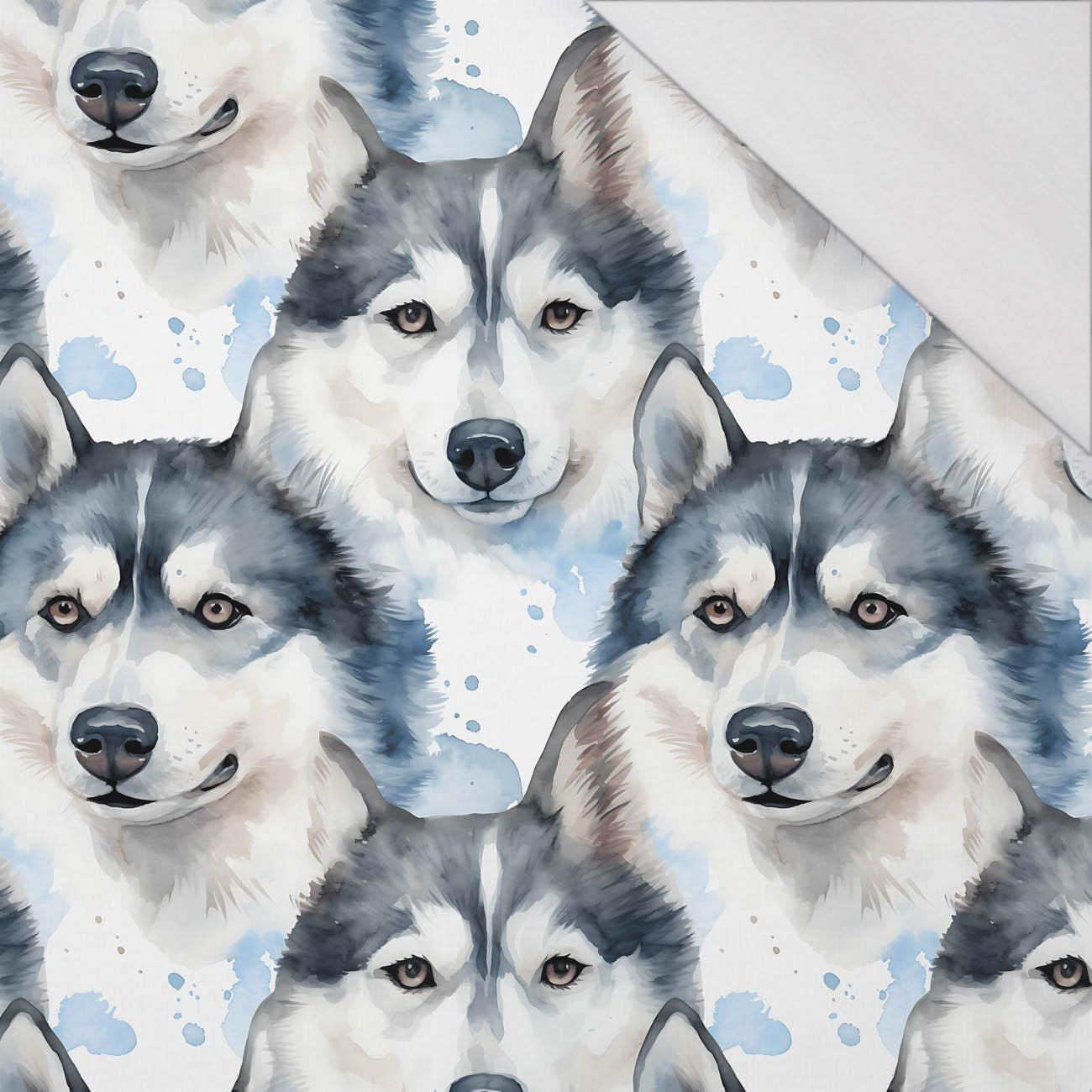 HUSKY DOG - single jersey 