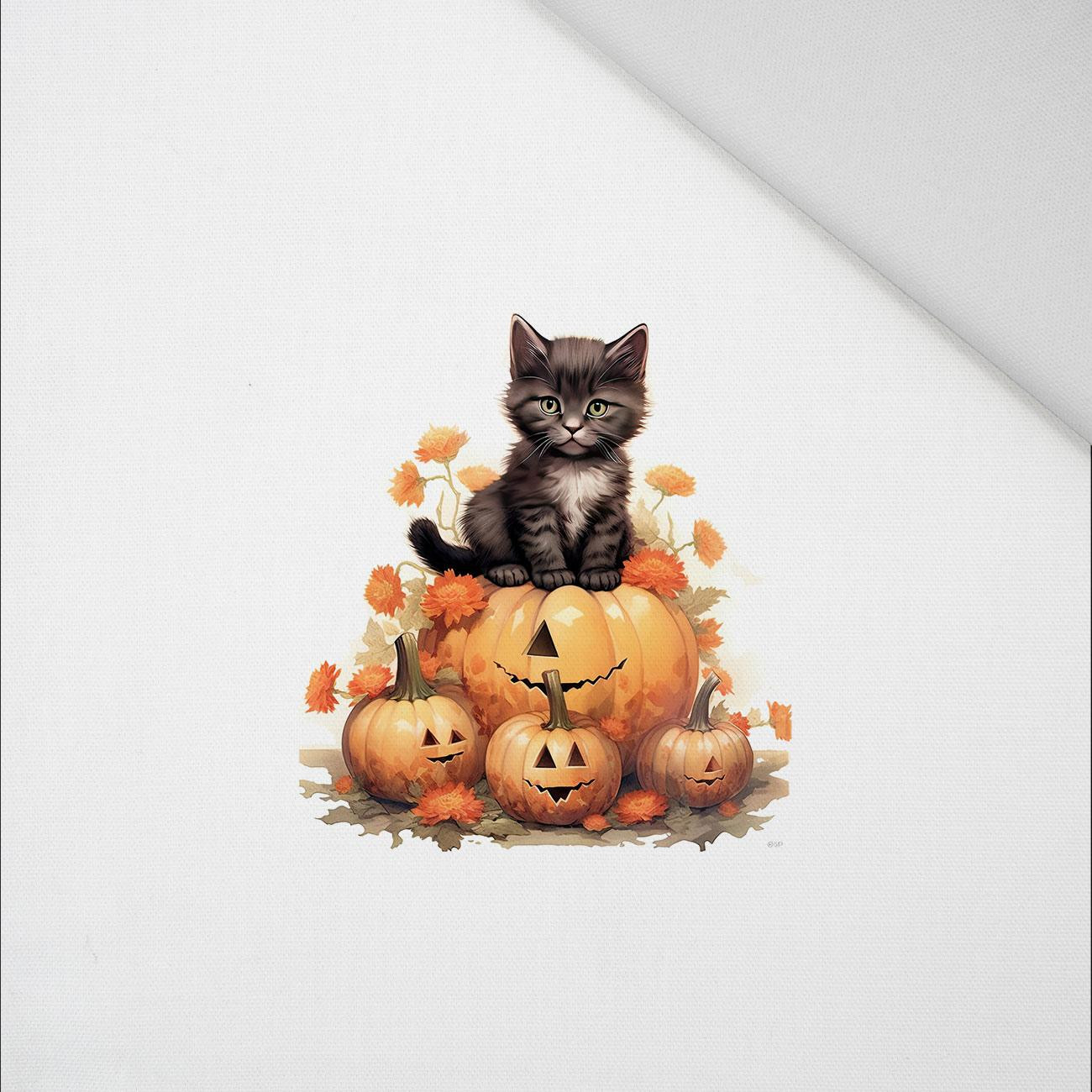 HALLOWEEN CAT - PANEL (60cm x 50cm) Panama 220g