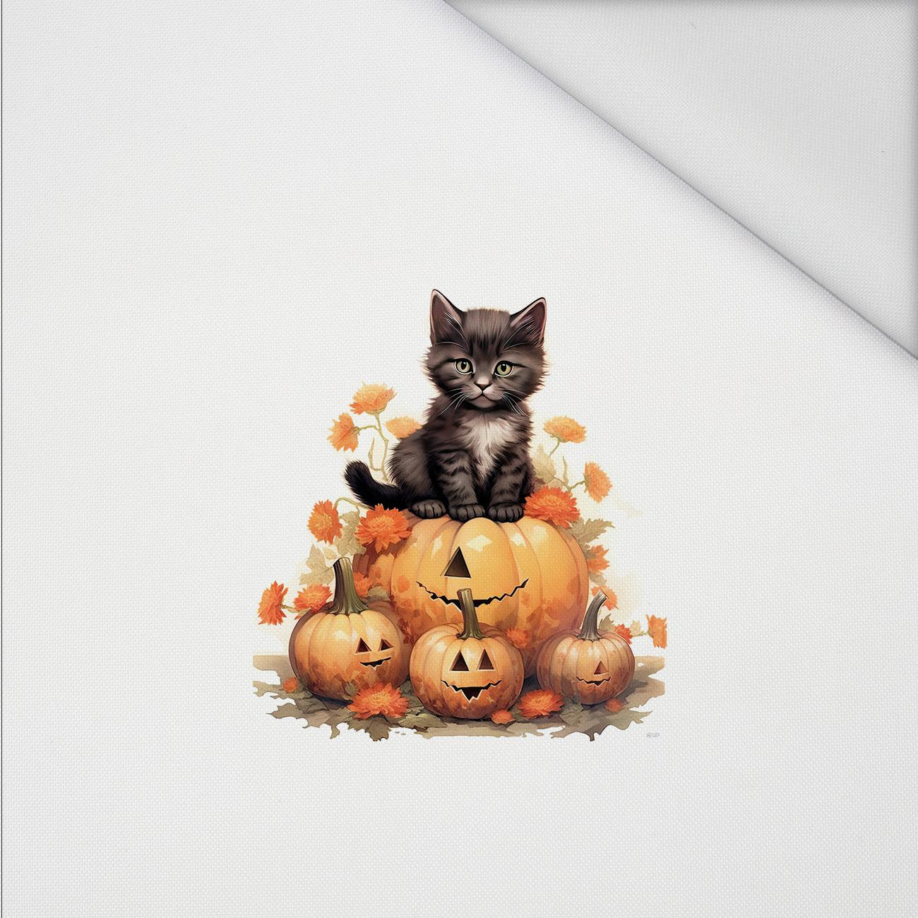 HALLOWEEN CAT - PANEL (60cm x 50cm) tkanina wodoodporna