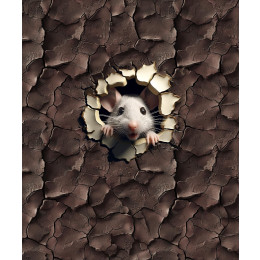 ANIMALS CRACKED wz.6 (MOUSE) - panel (60cm x 50cm) 