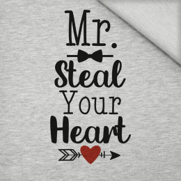 MR. STEAL YOUR HEART (BE MY VALENTINE) / M-01 melanż jasnoszary - panel dzianina pętelkowa 75cm x 80cm
