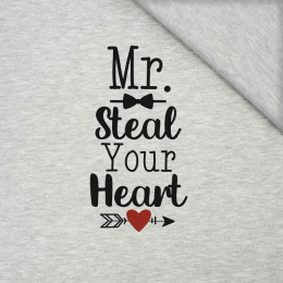 MR. STEAL YOUR HEART (BE MY VALENTINE) / M-01 melanż jasnoszary  - PANEL SINGLE JERSEY 50cm x 60cm