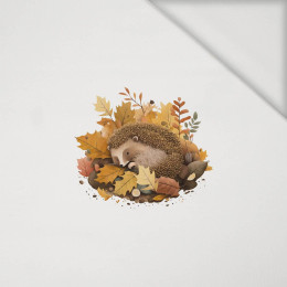 SLEEPING HEDGEHOG - panel (40cm x 40cm) jersey wiskozowy 