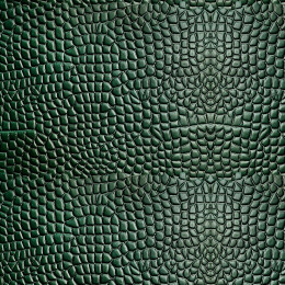 Leather Pattern wz.17