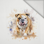 WATERCOLOR BULLDOG - PANEL (75cm x 80cm) lycra 300g