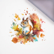 WATERCOLOR SQUIRREL - PANEL (60cm x 50cm) softshell