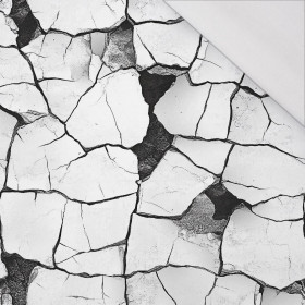 ANIMALS CRACKED wz.2 - single jersey 