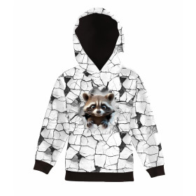 ANIMALS CRACKED wz.2 (raccoon)- panel (60cm x 50cm) SINGLE JERSEY