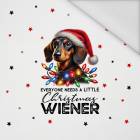 CHRISTMAS DOG wz. 4 - panel (60cm x 50cm) tkanina wodoodporna