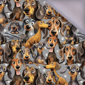 DOGS WZ. 1 - softshell