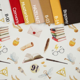 MAGICZNY ŚWIAT wz. 1 (MAGICZNA SZKOŁA) - single jersey z elastanem 