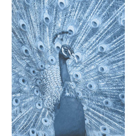 PAW (classic blue) - panel tkanina bawełniana