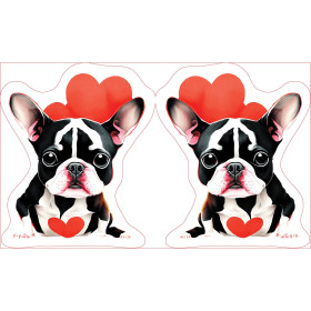 VALENTINE'S DAY / BULDOG
