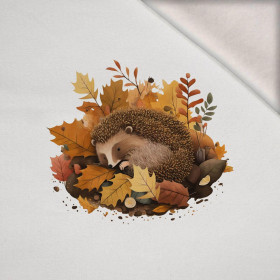 SLEEPING HEDGEHOG - PANEL (60cm x 50cm) dzianina drapana z elastanem ITY
