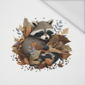 SLEEPING RACCOON - PANEL (75cm x 80cm) tkanina wodoodporna