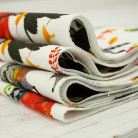 LEŚNI PRZYJACIELE - dresówka pętelkowa SP250