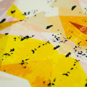 GEOMETRIA wz.1 - dresówka pętelkowa