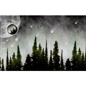DESZCZ METEORYTÓW (GALAXY) - panel panoramiczny / DUŻY