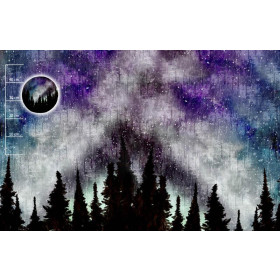 ZORZA POLARNA (GALAXY) - PANEL PANORAMICZNY SINGLE JERSEY (100cm x 155cm)