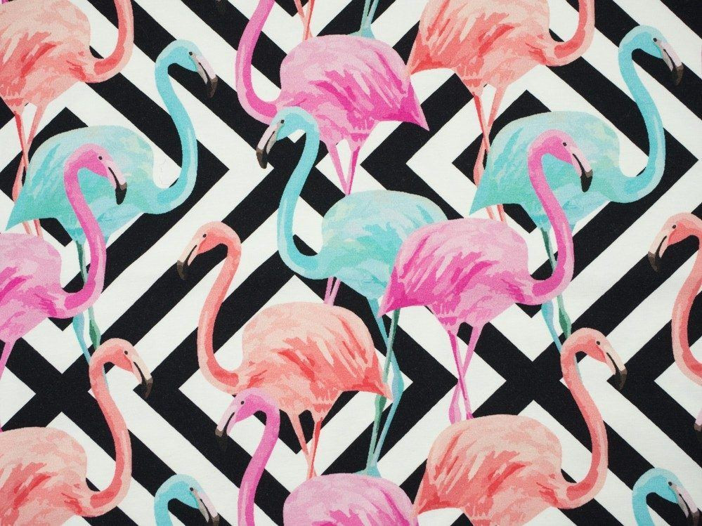 FLAMINGOS - bio single jerset mit Elastan TE210 Sommersweat