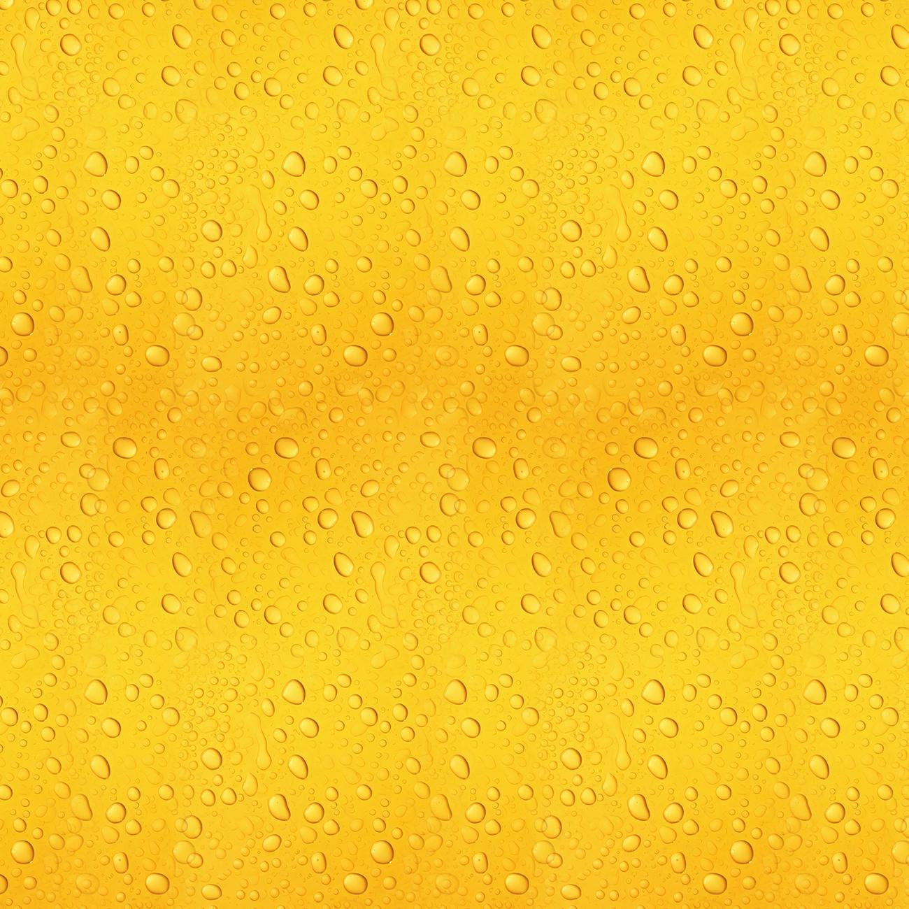 OKTOBERFEST WZ.4 - Sommersweat