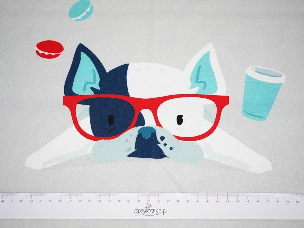 Hund mit Brille (J'adore Paris) / aqua - Paneel Single Jersey TE210