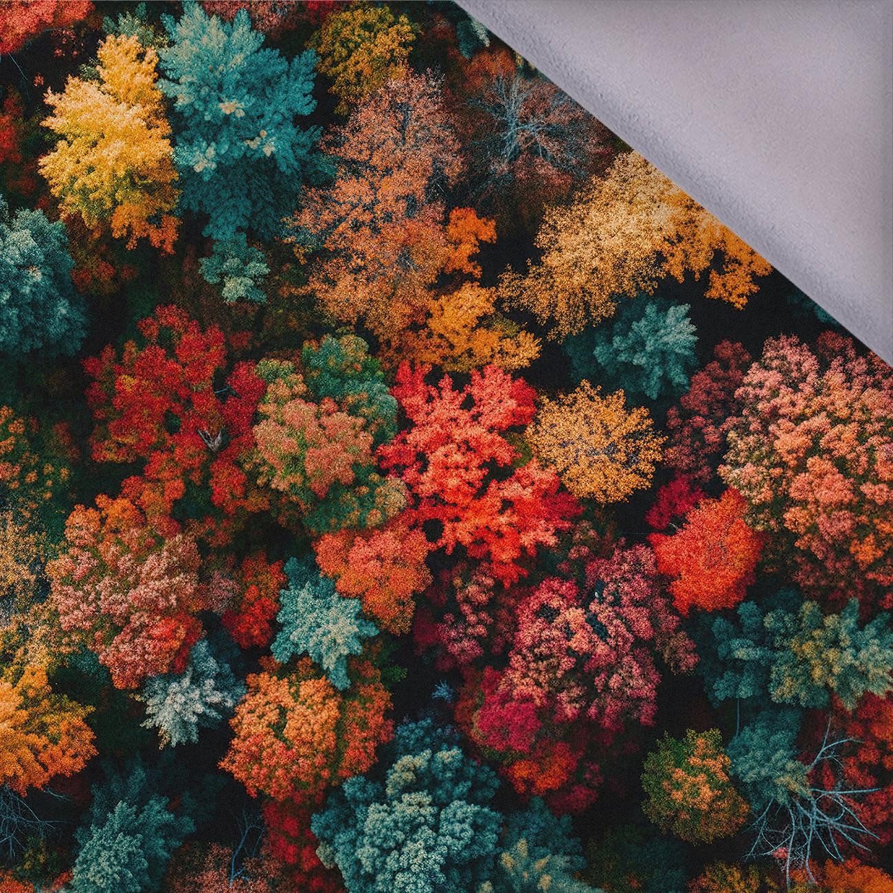 AUTUMN FOREST wz.4 - Softshell 