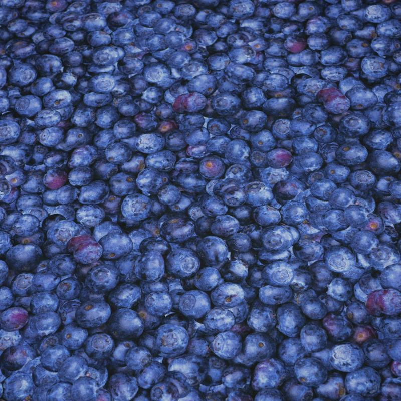 BLAUBEEREN - schnelltrocknende Webware