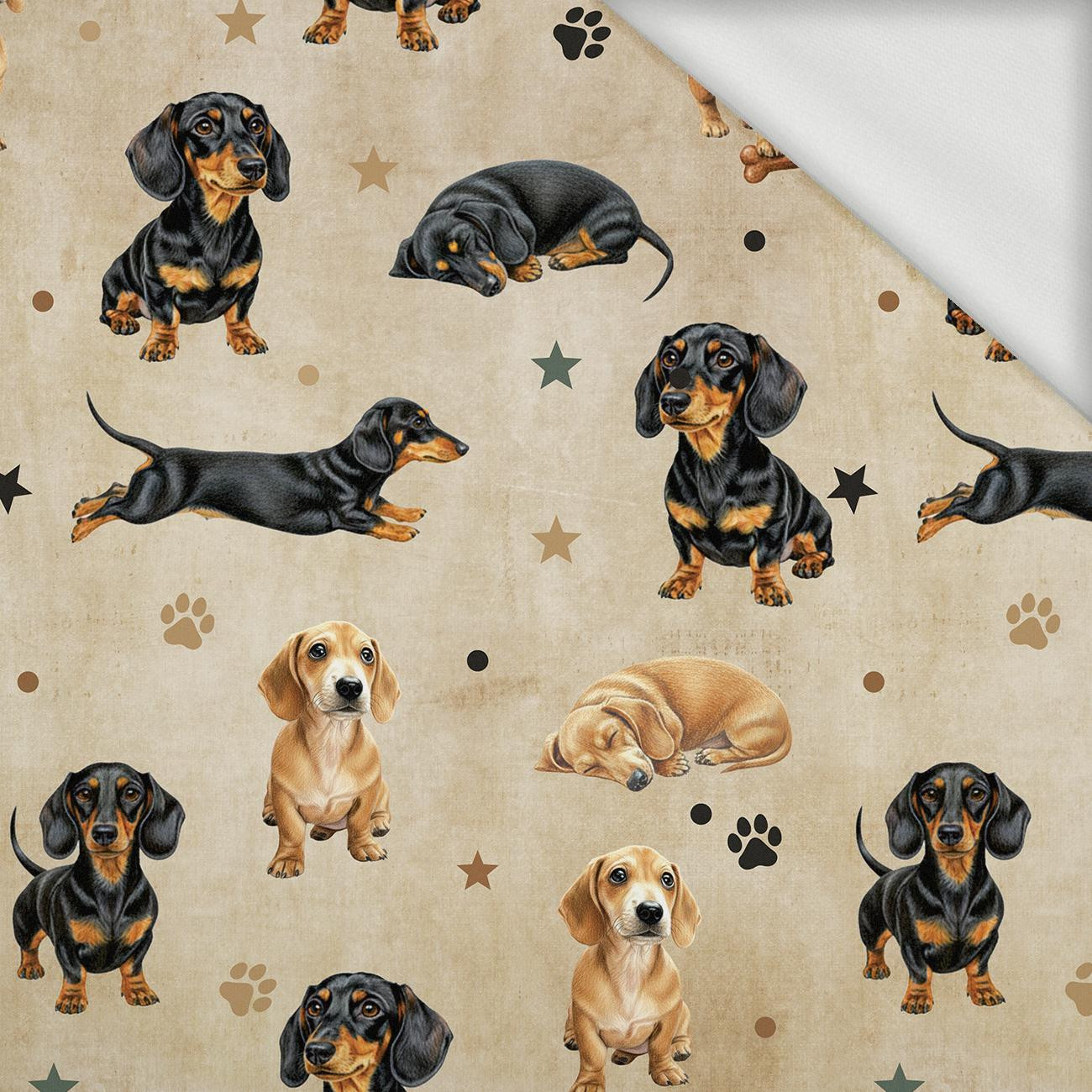 DOGS M. 2 - Sommersweat