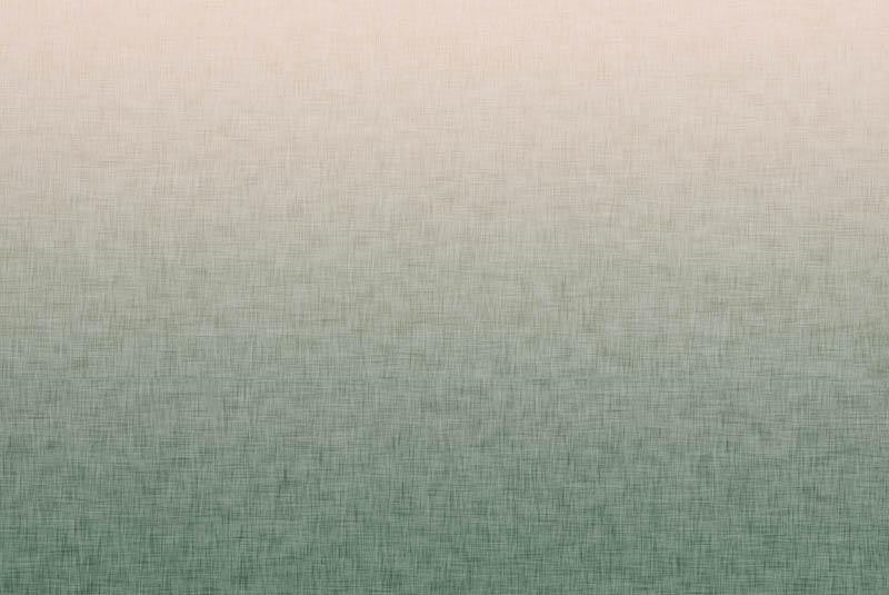 OMBRE / ACID WASH - grün (blass rosa) - Paneel, Sommersweat 