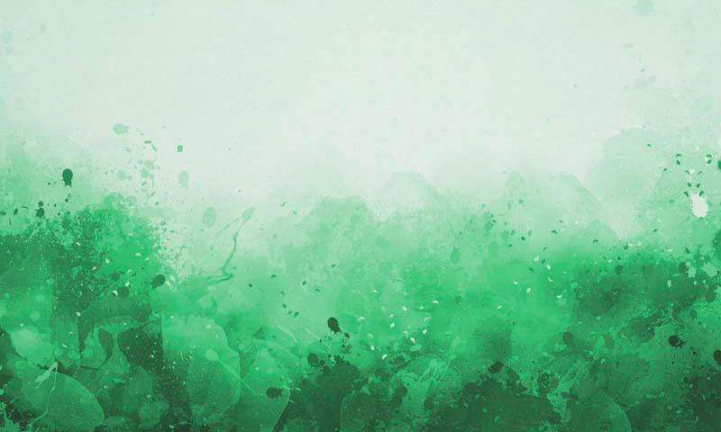 KLECKSE (grün) - Paneel Sommersweat 