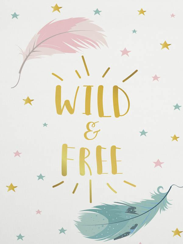 PASTELL-FEDERN (WILD & FREE) - Paneel Sommersweat 